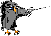 Bird Pointing (Picture from Microsoft Clip Art)